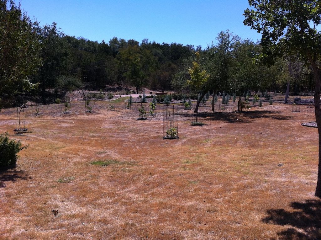 2011/09(Sep)/Texas Drought/1024x768_2011-09-06-Firepit Drought.jpg